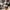 Streetwear Casual Casual shirt Pria burgundy gray photo 4