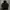 The North Face Casual Puffer jacket Pria black photo 1
