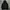 Champion Casual Hoody Pria black photo 1