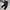Gorpcore Biker Tracksuit Pria black photo 1