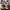 Nike Streetwear Sneakers Pria white photo 4