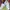 Nike Streetwear Sneakers Wanita white photo 2