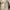 Shein Fairy Coquette Prom dress Wanita white cream photo 8