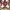 Nike Streetwear Sneakers Wanita burgundy photo 3