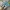 Nike Streetwear Sportswear Sneakers Pria multicolor photo 5