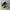 New Balance Streetwear Sportswear Sneakers Pria black gray photo 1