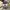 Nike Sportswear Sneakers Pria multicolor photo 4
