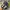 Nike Sportswear Sneakers Pria multicolor photo 5