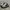 Nike Streetwear Y2K Sneakers Pria white green tan black photo 1