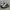 Nike Streetwear Y2K Sneakers Pria White Green Tan Black