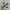 Nike Streetwear Y2K Sneakers Pria white green tan black photo 4
