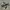 Nike Streetwear Y2K Sneakers Pria white green tan black photo 3