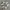 Nike Vintage Casual Sneakers Pria white black photo 3