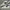 Nike Vintage Casual Sneakers Pria white black photo 4