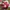 VANS Minimalist Sneakers Pria red photo 6