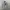 Blackyak Luxury Vest Kids gray photo 1