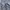 Asics Sportswear Track jacket Pria gray photo 2