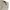 MUSINSA STANDARD Casual Short Pria cream photo 5