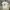 Polo Ralph Lauren Streetwear T-shirt Pria white photo 1