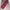 Sportswear Wanita pink photo 4