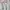 Casual Hoody Pria gray photo 1