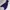 K2 Streetwear Gorpcore Windbreaker Pria purple photo 3