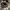 Brixton Casual Hat Pria black gray photo 5