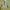 Polo Ralph Lauren Luxury T-shirt Wanita yellow photo 6
