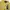 Polo Ralph Lauren Luxury T-shirt Wanita yellow photo 7