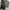 Casual Harrington jacket Pria white black photo 1
