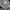 Casual Harrington jacket Pria white black photo 5