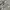GAP Streetwear Y2K Formal pants Pria gray photo 4