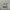 GAP Streetwear Y2K Formal pants Pria gray photo 1