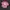 Streetwear Sportswear Jersey Pria white pink photo 1