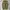 JNCO Streetwear Y2K Jeans Pria green khaki photo 3