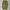 JNCO Streetwear Y2K Jeans Pria green khaki photo 2