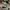 Le Coq Sportif Casual Hat Pria gray photo 1