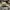 Adidas Casual Hat Pria gray photo 4