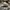Adidas Casual Hat Pria gray photo 2