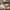 Dickies Streetwear Formal pants Pria khaki photo 6