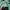Carhartt Casual T-shirt Pria green photo 5