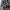 Vintage Y2K Sweatshirt Pria blue photo 2