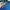 Carhartt Vintage Y2K Pria black blue photo 2