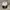 MLB Vintage Hat Pria white photo 1