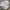 Sportswear Minimalist Sweater Pria white gray photo 5