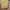 Michael Kors Luxury Bags & purse Wanita yellow photo 6