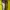 Michael Kors Luxury Bags & purse Wanita yellow photo 5