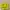 Michael Kors Luxury Bags & purse Wanita yellow photo 1