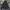 Carhartt Streetwear Casual Hoody Pria navy photo 1