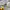 Carhartt Streetwear Casual Hoody Pria gray photo 5